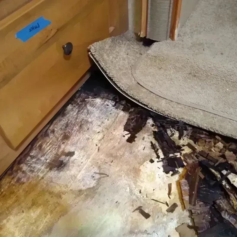 Wood Floor Water Damage in Sea Isle City, NJ